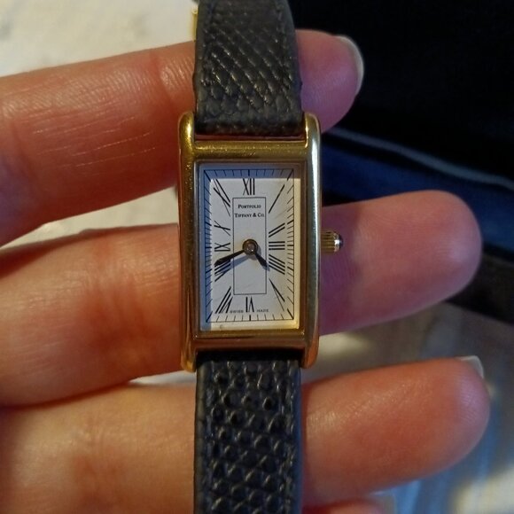 Tiffany & Co. 1991 Portfolio Watch - Picture 1 of 6